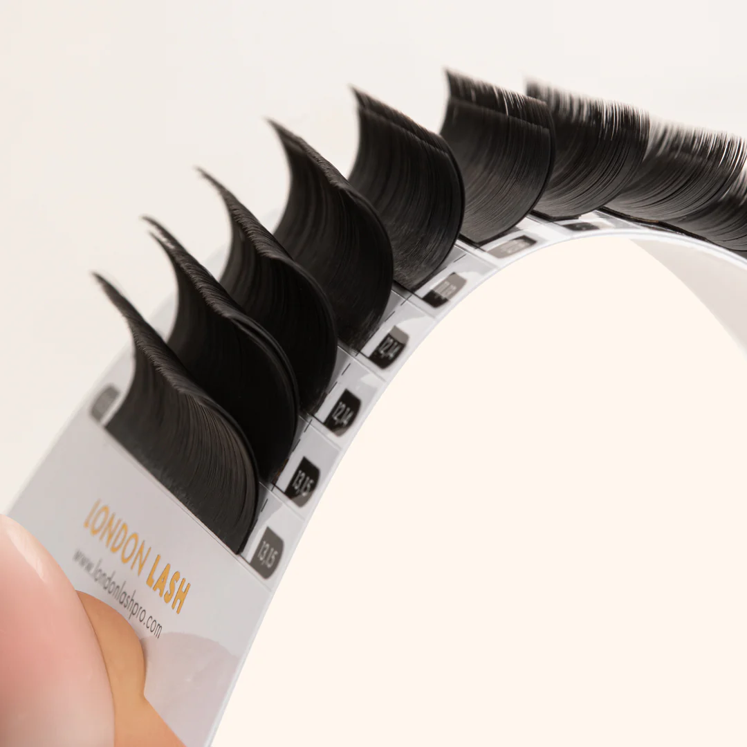 CAMELLIA - TEXTURED EASY FANNING MEGA VOLUME LASHES 0.03 - Image 3