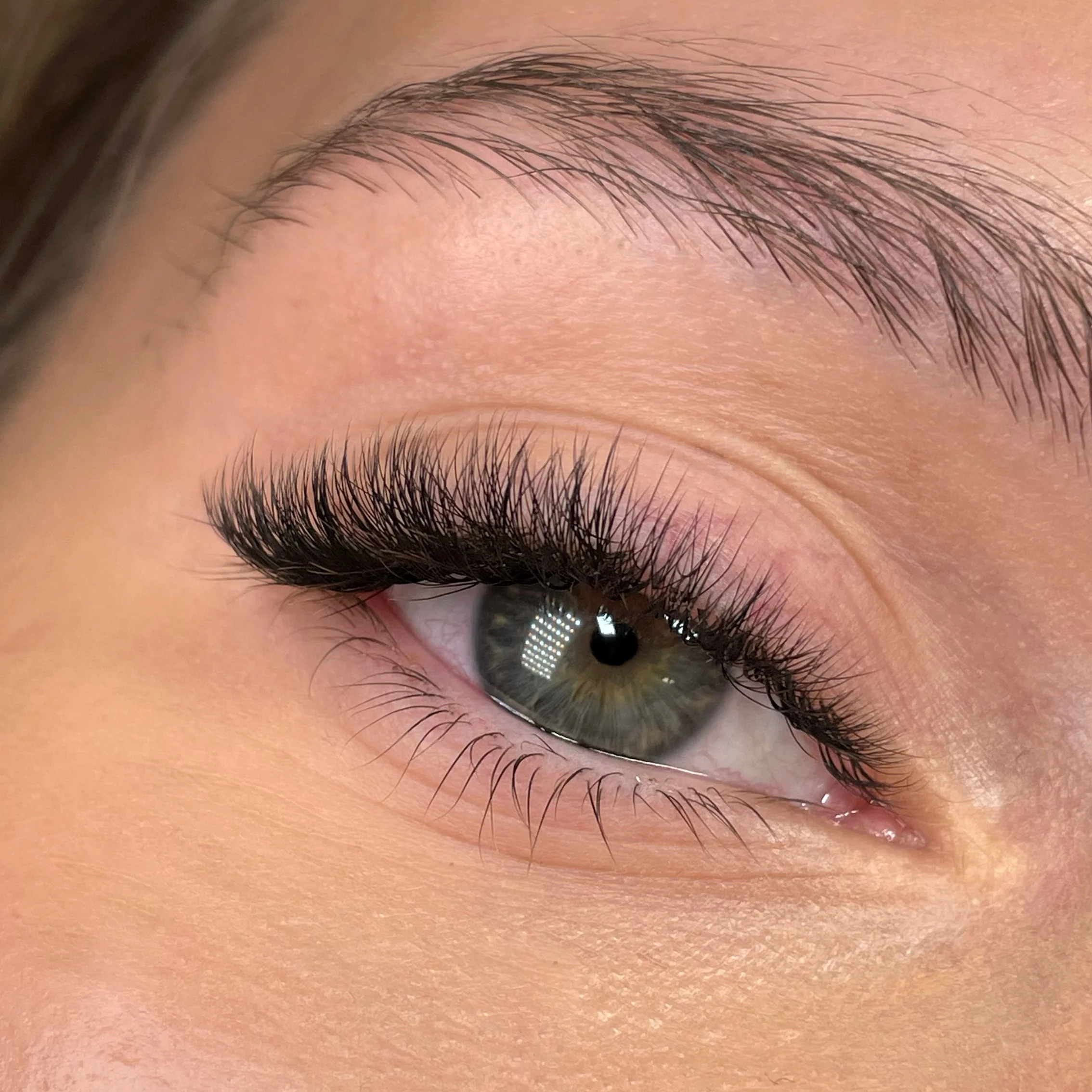 SpeedYY Lashes - 4DW 0.07 - Image 5
